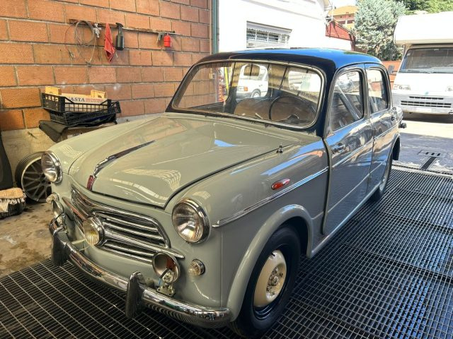 FIAT 1100 usata 8