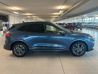 FORD Kuga usata, con Controllo trazione