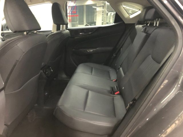 LEXUS NX 450h usata, con Fendinebbia