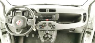 FIAT Panda usata, con Controllo trazione