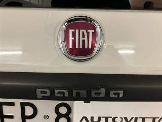 FIAT Panda usata 24