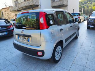FIAT Panda usata, con Immobilizzatore elettronico