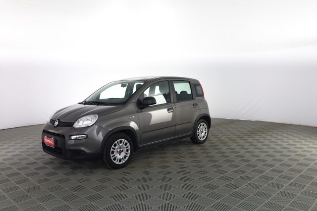 FIAT Panda usata 6