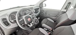 FIAT Panda usata, con Filtro antiparticolato