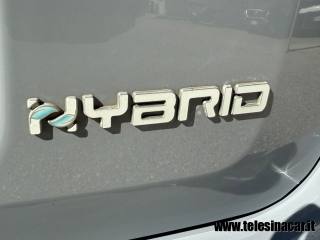 FIAT Panda Cross usata, con Controllo trazione