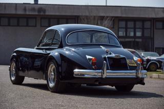 JAGUAR XK usata 4