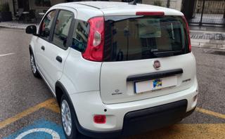 FIAT Panda usata, con Chiusura centralizzata