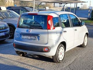 FIAT Panda usata, con Antifurto