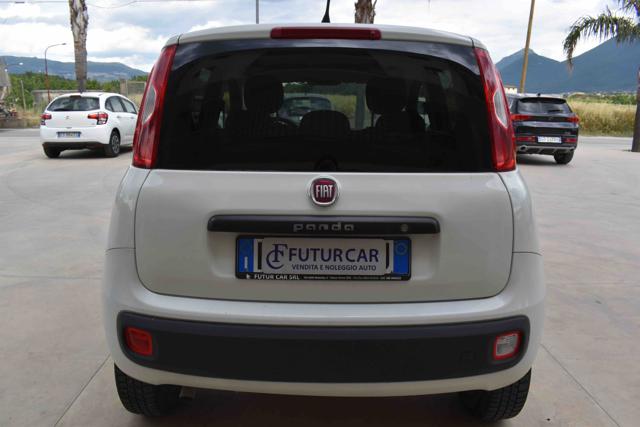 FIAT Panda usata 12