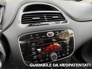 FIAT Punto usata, con Fendinebbia