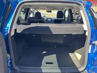 FORD EcoSport usata, con Controllo vocale