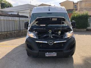 OPEL Movano usata 12