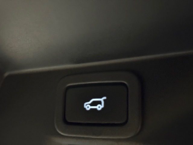 LAND ROVER Range Rover Sport usata, con Leve al volante