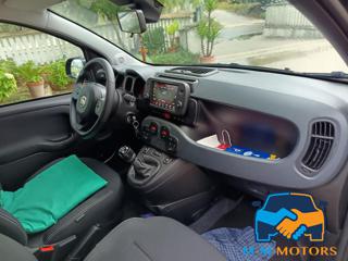 FIAT Panda usata, con Immobilizzatore elettronico