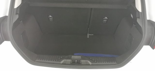 FORD Fiesta usata, con Servosterzo