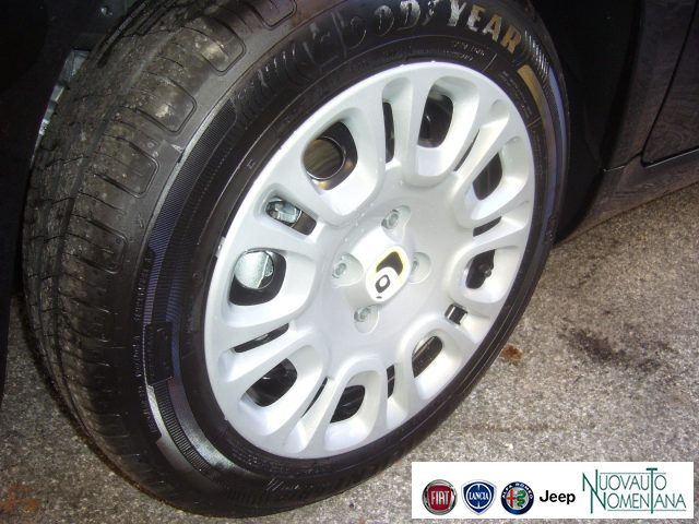 FIAT Panda usata, con Antifurto