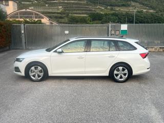 SKODA Octavia usata, con Airbag Passeggero