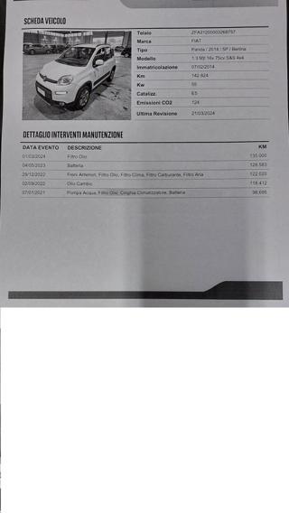 FIAT Panda usata, con Vivavoce