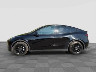 TESLA Model Y usata 1
