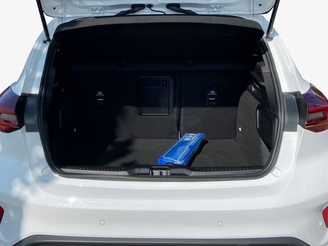 FORD Focus usata, con Cronologia tagliandi