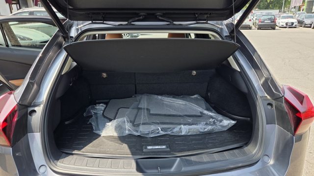 LEXUS UX 250h usata, con Cruise Control