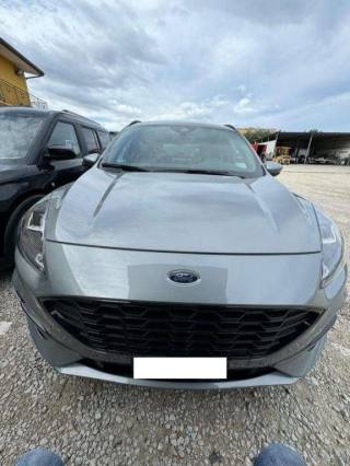 FORD Kuga ST-Line 2.0 EcoBlue 120cv Autom. 8M