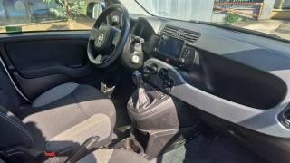 FIAT Panda Cross usata, con Chiusura centralizzata