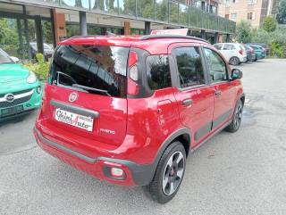 FIAT Panda Cross usata, con Antifurto