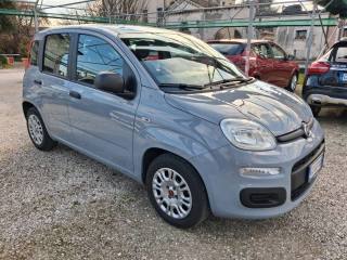 FIAT Panda usata, con Airbag Passeggero