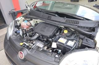 FIAT Panda usata 79
