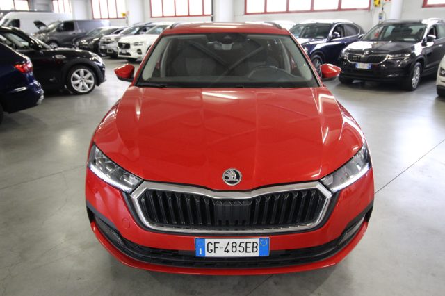 SKODA Octavia usata, con ABS