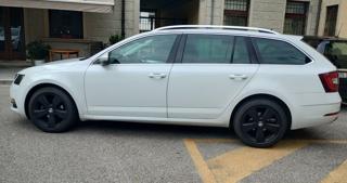 SKODA Octavia usata, con Fendinebbia