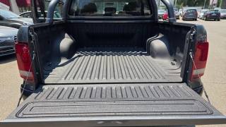 VOLKSWAGEN Amarok usata, con Chiusura centralizzata