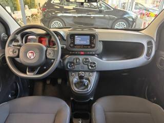 FIAT Panda usata, con Controllo trazione