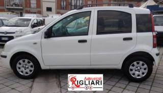 FIAT Panda usata 3