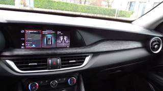 ALFA ROMEO Stelvio usata 96