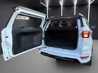 FORD EcoSport usata, con Bracciolo