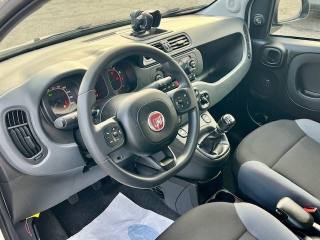 FIAT Panda usata, con Airbag testa