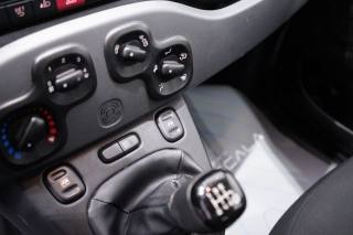 FIAT New Panda usata 13
