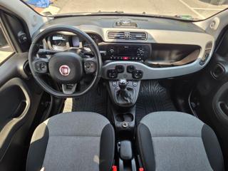 FIAT Panda usata, con Controllo trazione