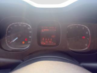 FIAT Panda usata 13