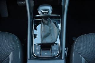 SKODA Kodiaq usata, con Trazione integrale