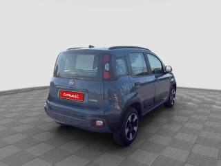 FIAT Panda usata 5