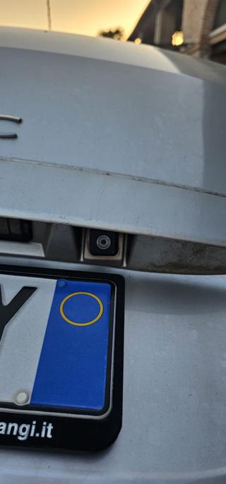RENAULT Scenic usata, con Park Distance Control