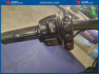 HARLEY-DAVIDSON Softail usata 8