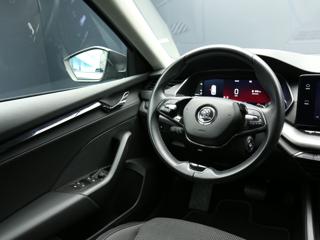 SKODA Octavia usata, con Cruise Control