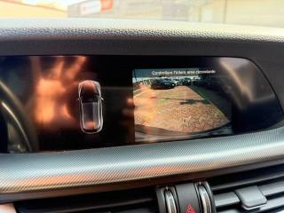 ALFA ROMEO Stelvio usata, con Immobilizzatore elettronico
