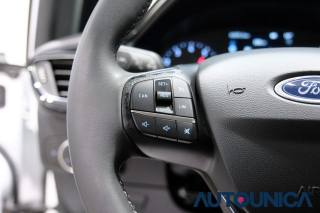 FORD Fiesta usata, con Bracciolo