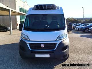 FIAT  usata 2