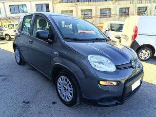 FIAT Panda usata 1